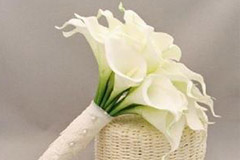 马蹄莲温室栽培新技术