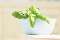 夏眠花卉怎样养护？