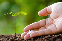 花木施化学肥料十忌