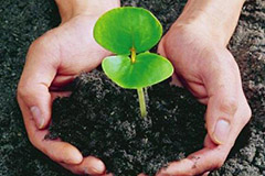 减少有机肥臭味