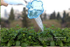 用温水浇花有什么好处