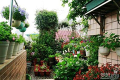 家庭花卉过冬六注意不能忘