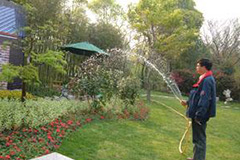 园林植物尿素使用八个忌讳