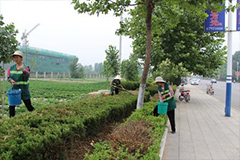 园林花木的叶面施肥方法