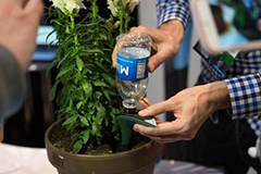 养花小常识：施肥五法