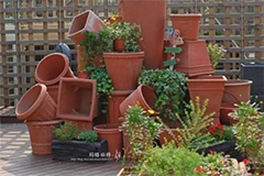 养花如何选用花盆