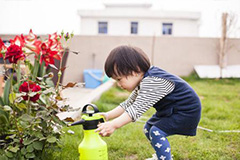 浇花用水巧改良