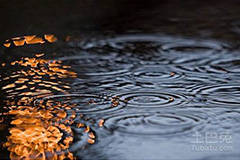 梅雨季节植物最需防霉菌