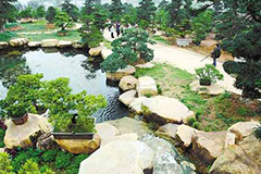 园林花卉苗圃慎用除草剂