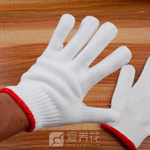 [从零开始学养花]种花养花需要准备哪些工具用品(图6)