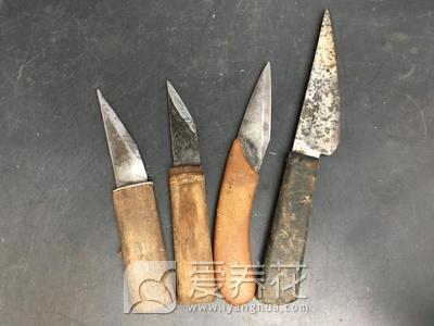 [从零开始学养花]种花养花需要准备哪些工具用品(图5)