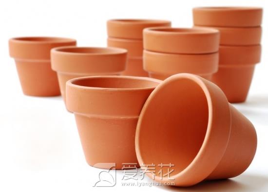 花卉花盆种类和如何选择 花盆图片大全(图2)