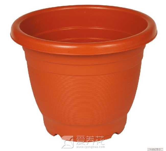 花卉花盆种类和如何选择 花盆图片大全(图7)