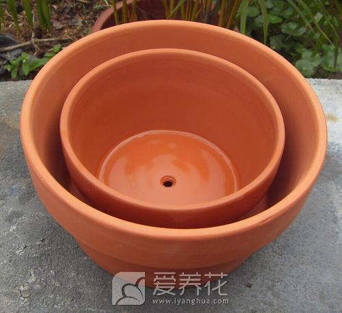 花卉花盆种类和如何选择 花盆图片大全(图5)