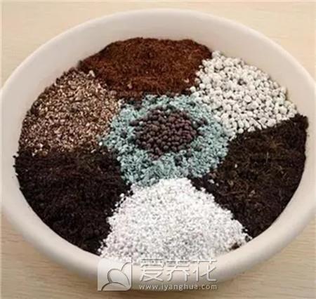 养好花就要用好土，花卉绿植培养土的配制方法和注意事项(图3)