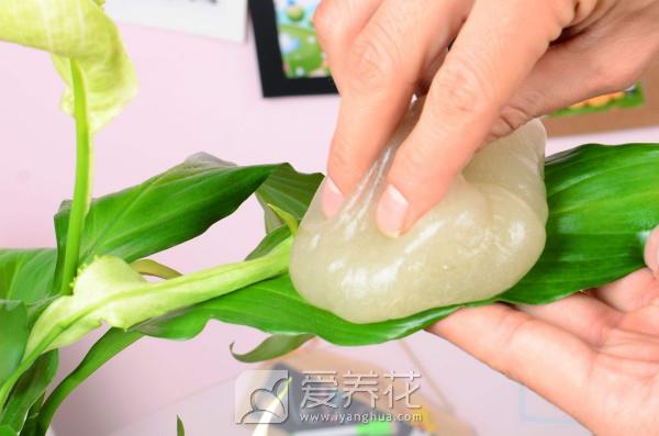 怎样清理花卉叶面(图2)