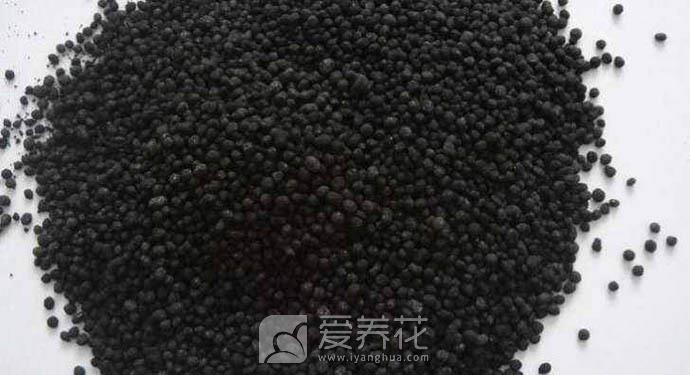家里养花怎么正确施肥？有机肥与无机肥，哪一种更好？(图4)