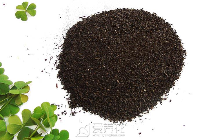 家里养花怎么正确施肥？有机肥与无机肥，哪一种更好？(图3)