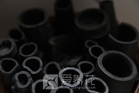 由于养花家中到处都是小飞虫，消灭飞虫小窍门有哪些(图4)