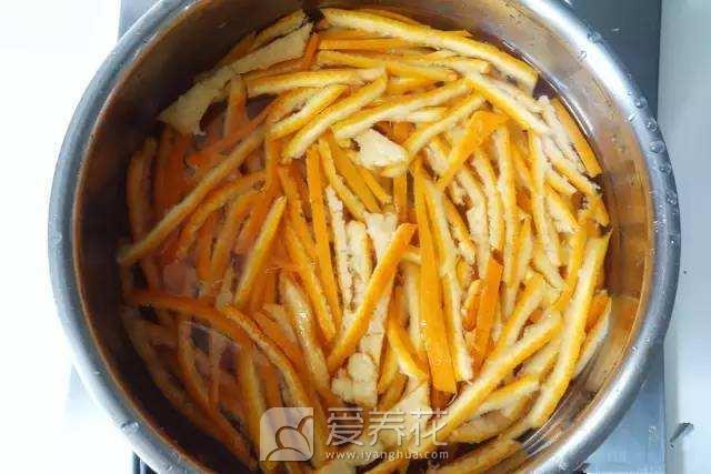 由于养花家中到处都是小飞虫，消灭飞虫小窍门有哪些(图1)