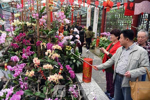 冬天养花技巧 做好准备怎样让花儿在春节盛开(图2)
