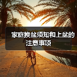 家庭换盆须知和上盆的注意事项(图4)