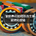 家庭养花如何防治土壤盐碱化板结(图1)