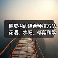 橡皮树的综合种植方法 花语、水肥、修剪和繁殖(图2)