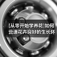 [从零开始学养花]如何营造花卉良好的生长环境：足够的水分(图4)