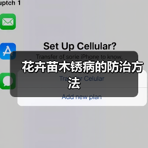 花卉苗木锈病的防治方法(图3)