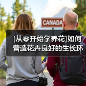 [从零开始学养花]如何营造花卉良好的生长环境：花卉生长最适宜的温度是多少(图2)