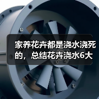 家养花卉都是浇水浇死的，总结花卉浇水6大要点方法(图3)