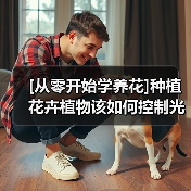 [从零开始学养花]种植花卉植物该如何控制光照(图3)