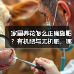 家里养花怎么正确施肥？有机肥与无机肥，哪一种更好？(图1)