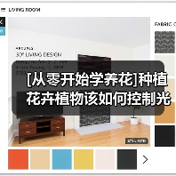 [从零开始学养花]种植花卉植物该如何控制光照(图1)