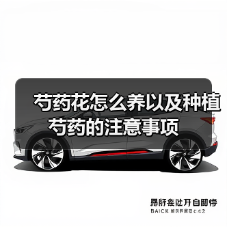 芍药花怎么养以及种植芍药的注意事项(图2)