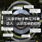 [从零开始学养花]科普达人：认识花朵的结构(图2)