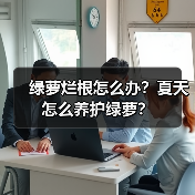 绿萝烂根怎么办？夏天怎么养护绿萝？(图4)