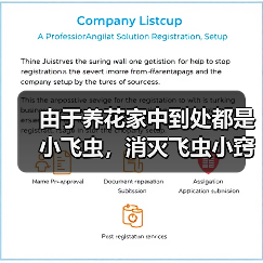由于养花家中到处都是小飞虫，消灭飞虫小窍门有哪些(图2)