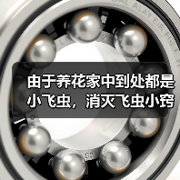 由于养花家中到处都是小飞虫，消灭飞虫小窍门有哪些(图4)