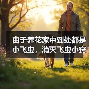由于养花家中到处都是小飞虫，消灭飞虫小窍门有哪些(图3)