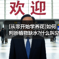 [从零开始学养花]如何判断植物缺水?什么叫见干见湿?三分钟学会浇花方法(图3)