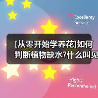 [从零开始学养花]如何判断植物缺水?什么叫见干见湿?三分钟学会浇花方法(图1)