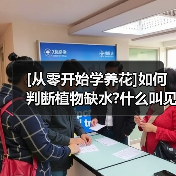 [从零开始学养花]如何判断植物缺水?什么叫见干见湿?三分钟学会浇花方法(图2)