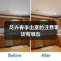 花卉春季出室的注意事项有哪些(图1)