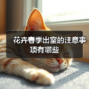 花卉春季出室的注意事项有哪些(图4)