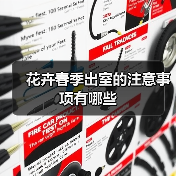 花卉春季出室的注意事项有哪些(图2)