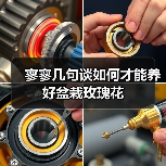 寥寥几句谈如何才能养好盆栽玫瑰花(图4)