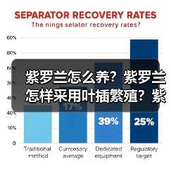 紫罗兰怎么养？紫罗兰怎样采用叶插繁殖？紫罗兰的种类有哪些？(图4)