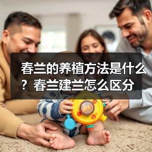 春兰的养植方法是什么？春兰建兰怎么区分(图2)